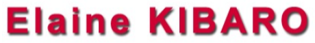 logo kibaro